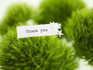 可愛いスカートを販売するおすすめの通販